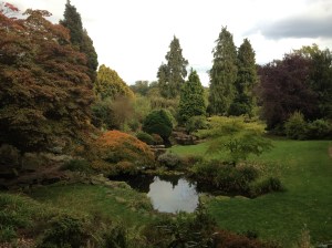 Look at all that Lutonian beauty!